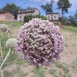 Agriturismo I campi