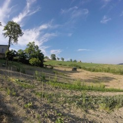 Azienda Agricola I CAMPI