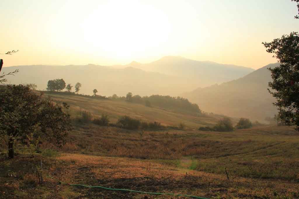 AZIENDA AGRICOLA I CAMPI