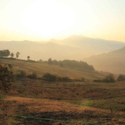 AZIENDA AGRICOLA I CAMPI