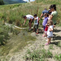 Progetti per le famiglie Fattoria Didattica I Campi